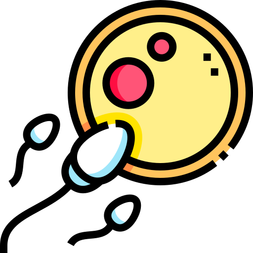 In Vitro Fertilization